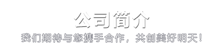 公司簡介